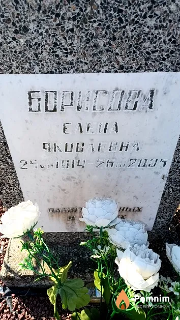 Борисова Елена Яковлевна