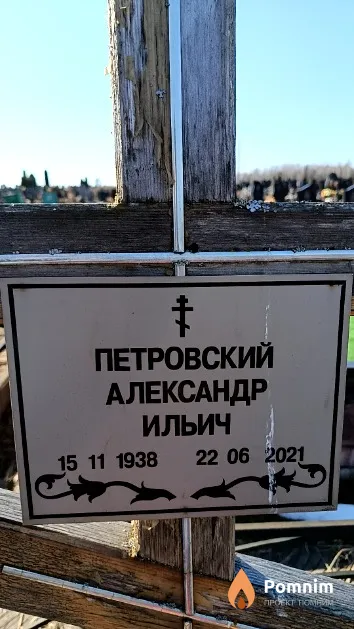 Петровский Александр Ильич