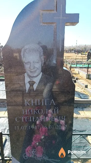 Книга Николай Степанович