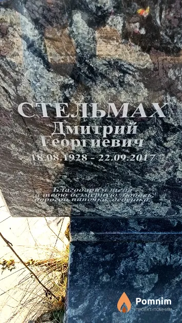 Стельмах Дмитрий Георгиевич