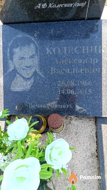 Колесник Александр Васильевич