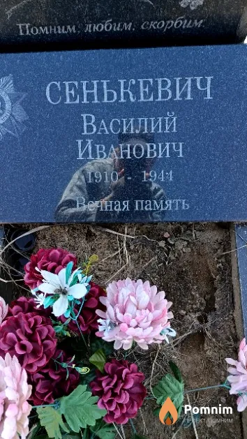 Сенькевич Василий Иванович