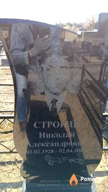 Строгин Николай Александрович