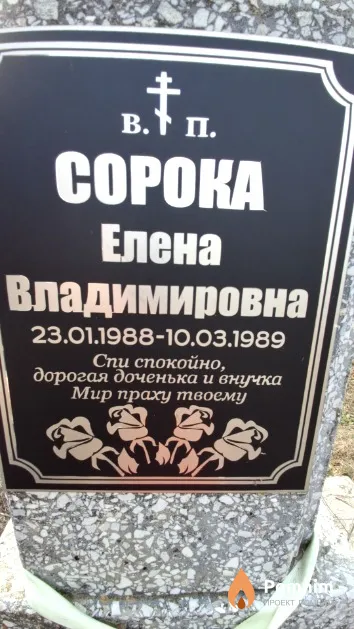 Сорока Елена Владимировна