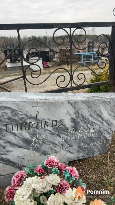 Тисецкий Николай Михайлович