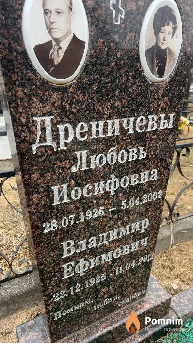 Дреничев Владимир Ефимович