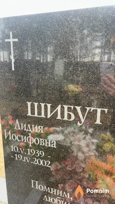 Шибут Лидия Иосифовна