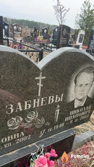 Забнев Николай Иванович