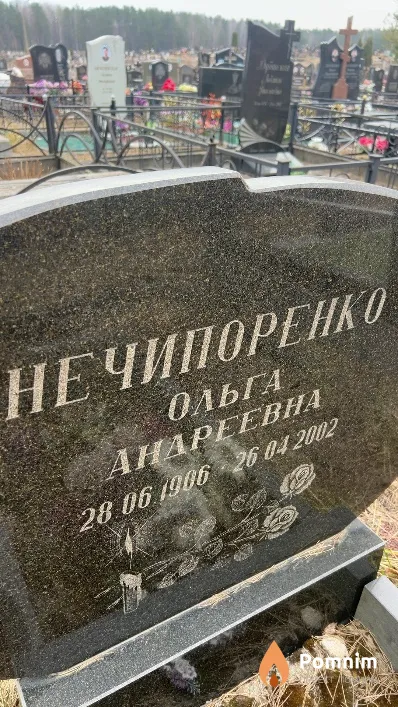 Нечипоренко Ольга Андреевна