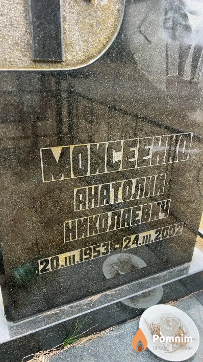 Моисеенко Анатолий Николаевич