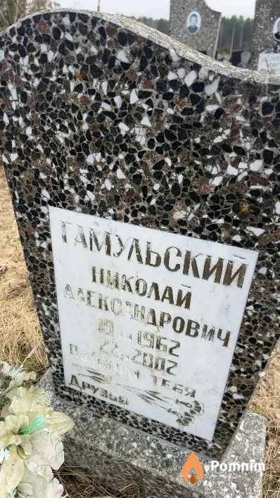 Гамульский Николай Александрович