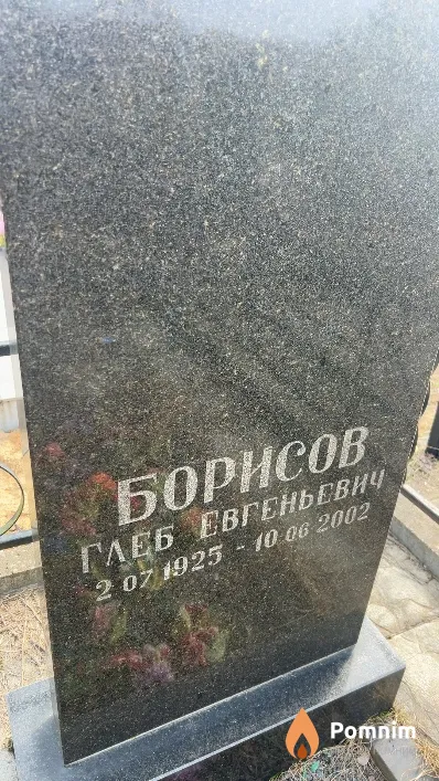 Борисов Глеб Евгеньевич