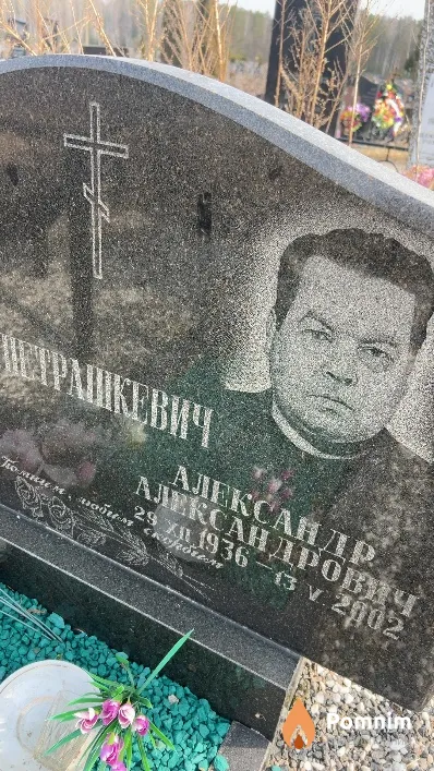 Петрашкевич Александр Александрович