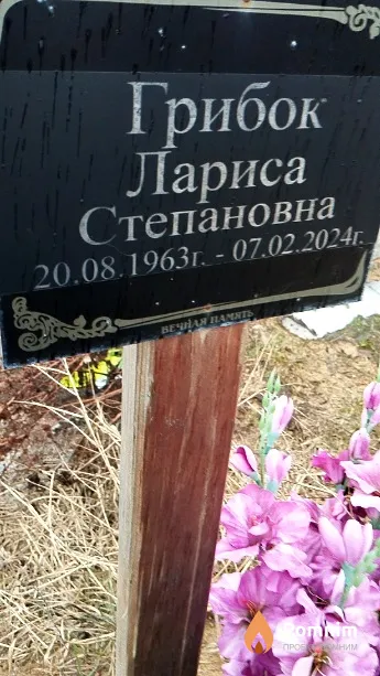 Грибок Лариса Степановна