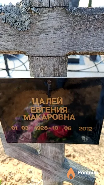Цалей Евгения Макаровна
