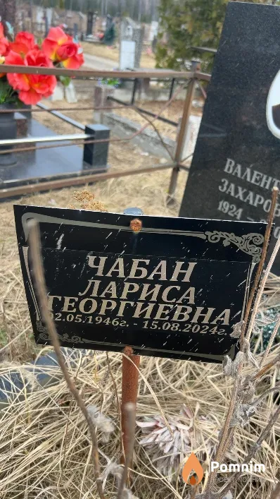 Чабан Лариса Георгиевна