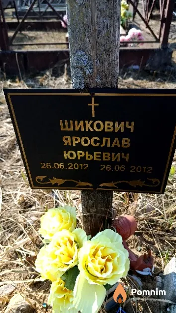 Шикович Ярослав Юрьевич
