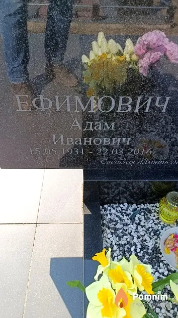 Ефимович Адам Иванович