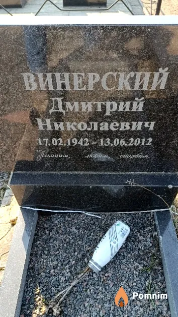 Винерский Дмитрий Николаевич