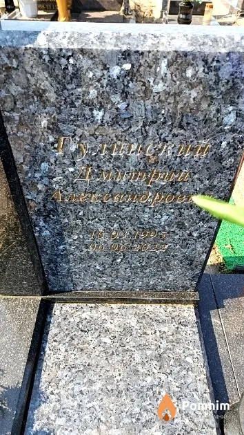 Гулинский Дмитрий Александрович