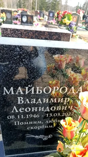 Майборода Владимир Леонидович