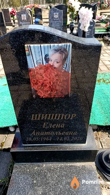 Шишпор Елена Анатольевна