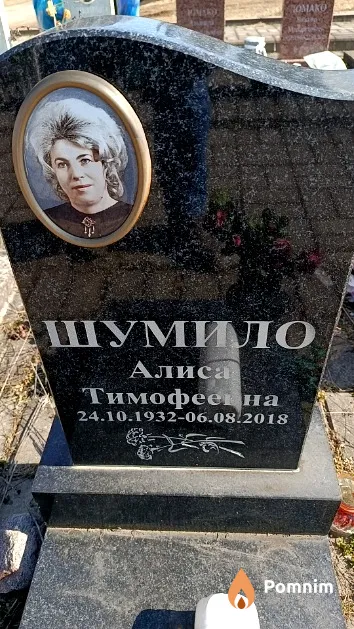 Шумило Алиса Тимофеев
