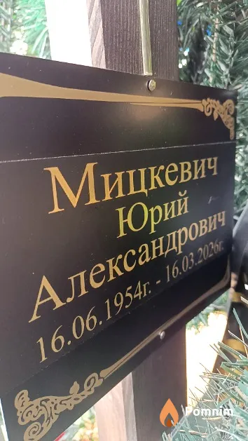 Мицкевич Юрий Александрович