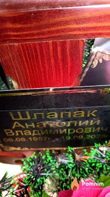 Шлапак Анатолий Владимирович