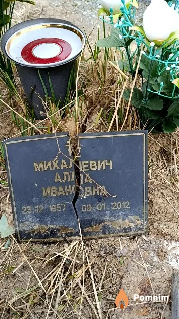 Михалевич Алла Ивановна