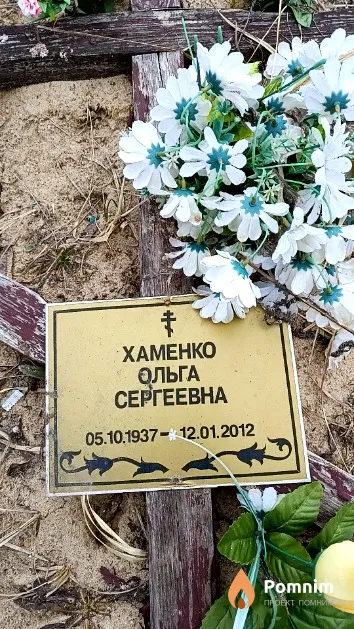 Хаменко Ольга Сергеевна