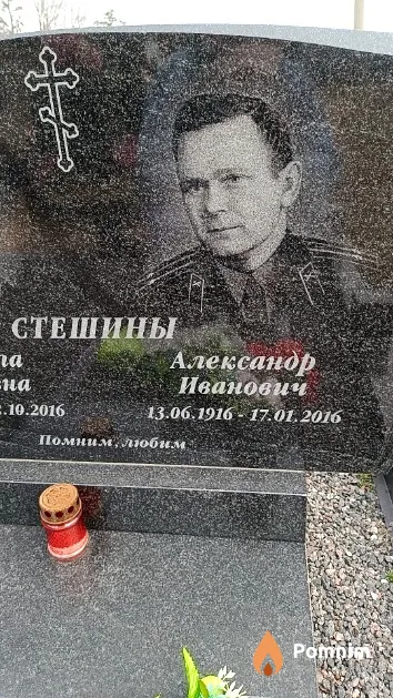 Стешин Александр Иванович