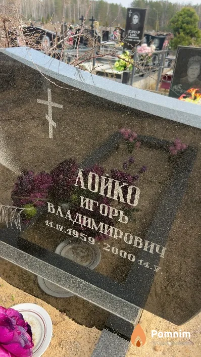 Лойко Игорь Владимирович