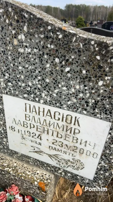Панасюк Владимир Лаврентьевич