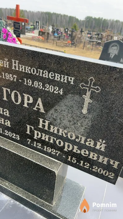 Гора Николай Григорьевич