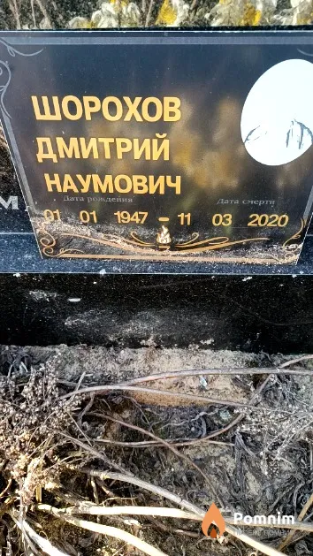 Шорохов Дмитрий Наумович