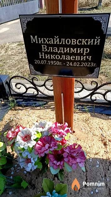 Михайловский Владимир Николаевич