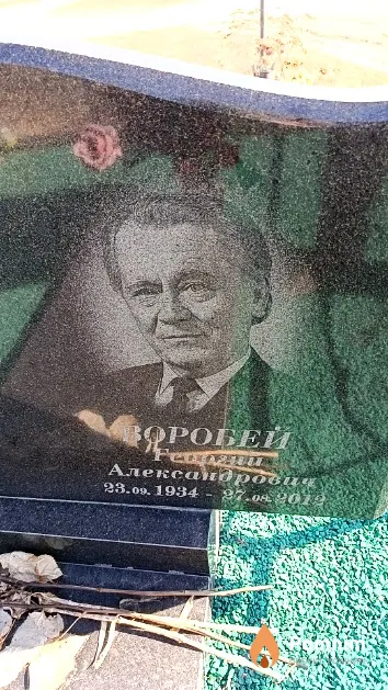 Воробей Георгий Александрович