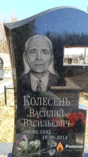 Колесень Василий Васильевич