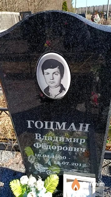 Гоцман Владимир Фёдорович