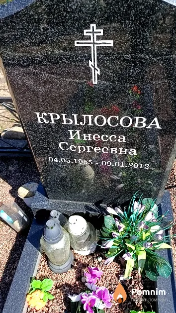 Крылосова Инесса Сергеевна
