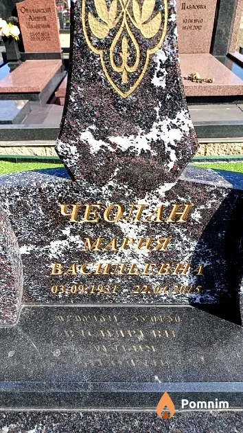 Чеолан Мария Васильевна