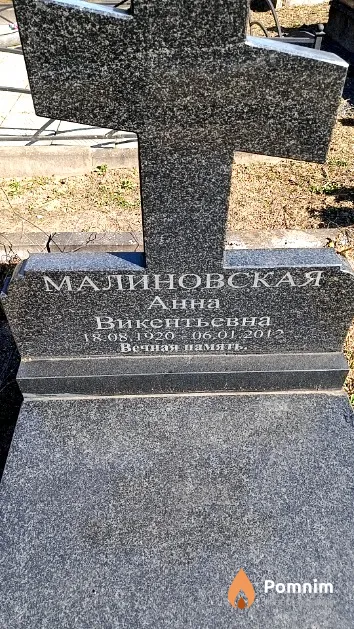Малиновская Анна Викентьевна