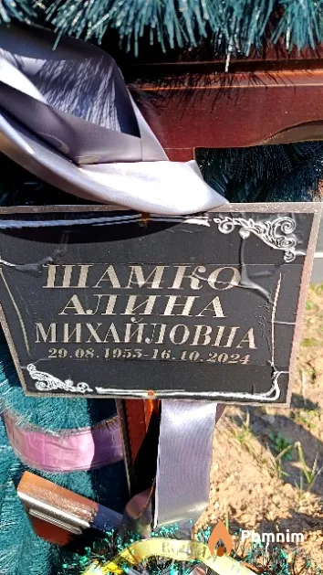 Шамко Алина Михайловна