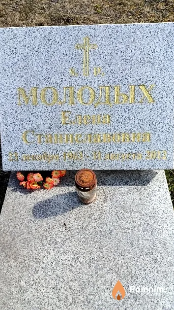 Молодых Елена Станиславовна