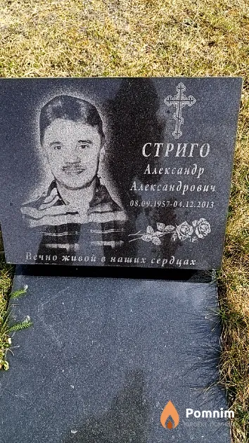 Стриго Александр Александрович