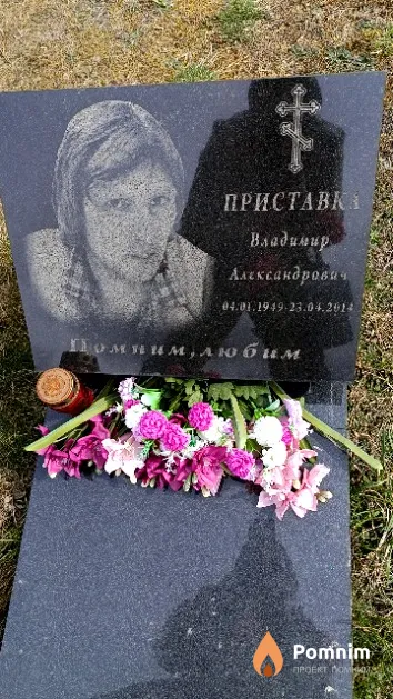 Приставка Владимир Александрович