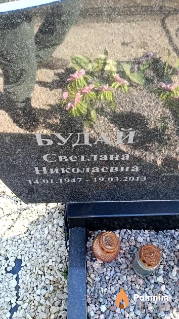 Будай Светлана Николаевна