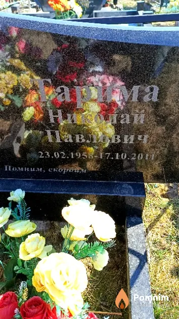 Тарима Николай Павлович