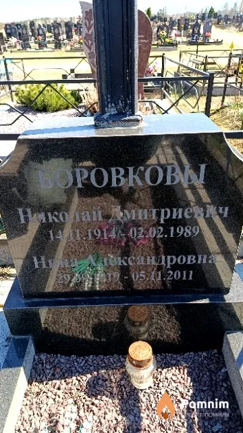 Боровков Николай Дмитриевич